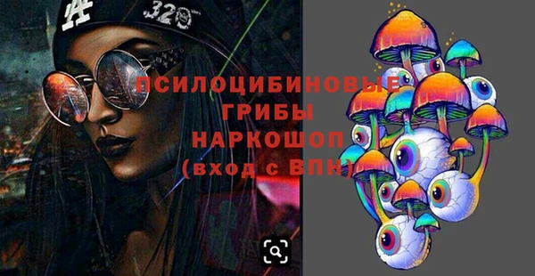 соль ск Арсеньев