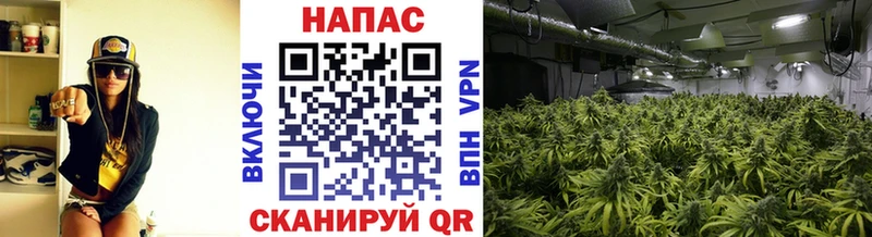Бошки Шишки SATIVA & INDICA  купить  сайты  площадка Telegram  Сибай 